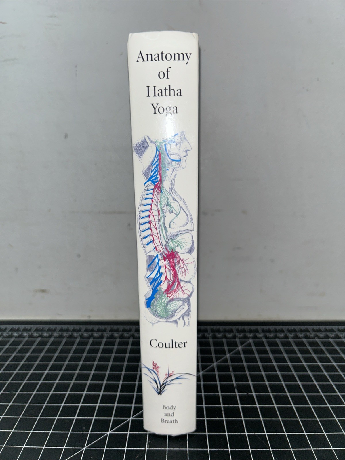 Anatomy of Hatha Yoga: A Manual for Students Teachers and… – Coulter, David