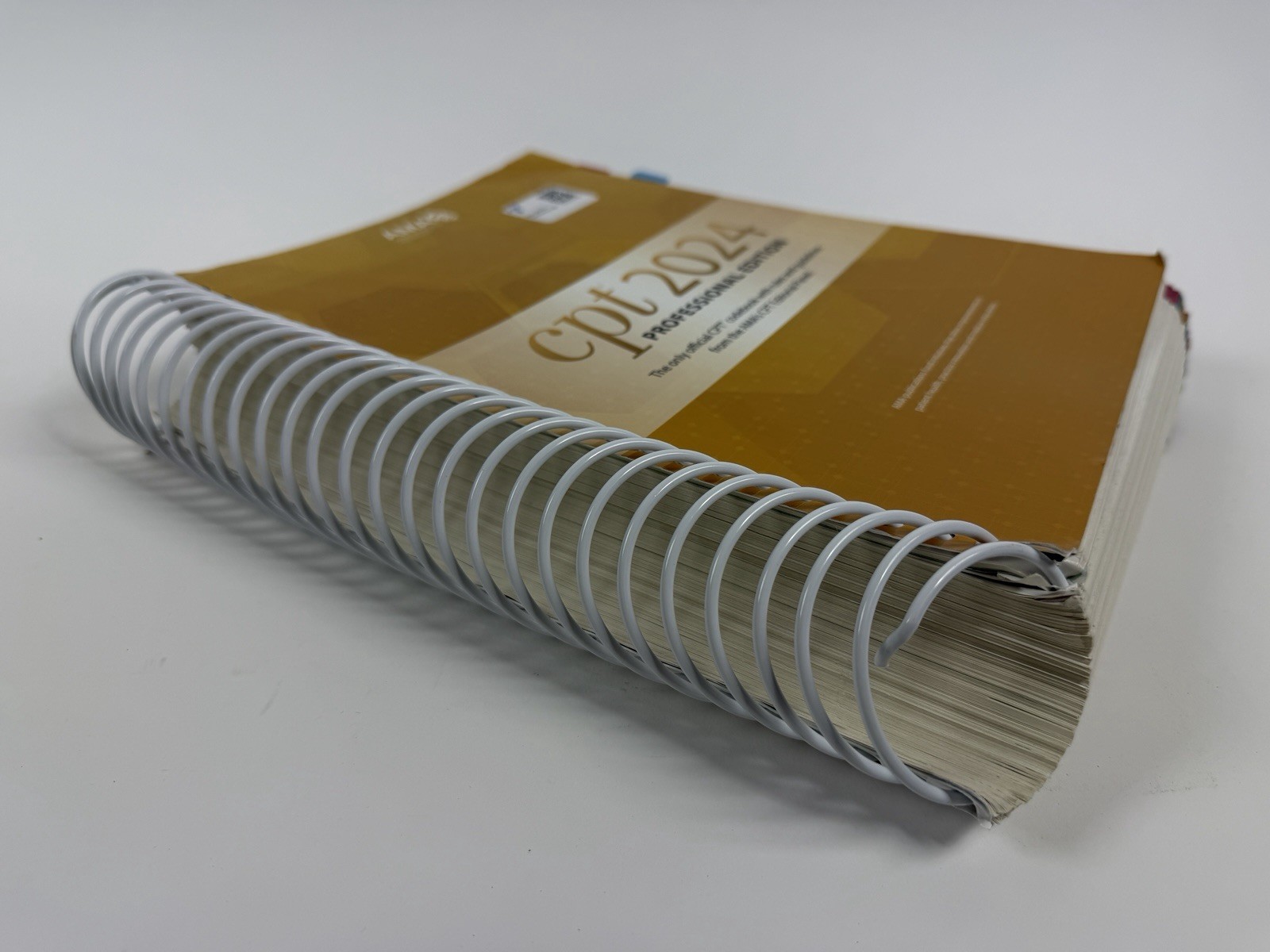 CPT 2024 Professional Edition by American Medical Association Spiral Paperback