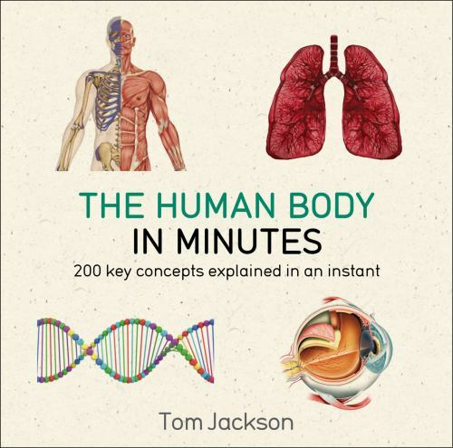 The Human Body in Minutes by Jackson, Tom