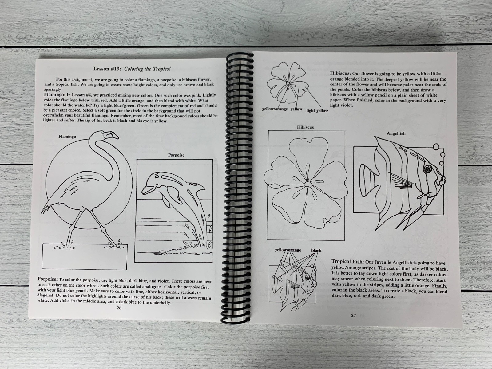 Feed My Sheep Art Curriculum Spiral bound by Barry Stebbing Book Homeschool