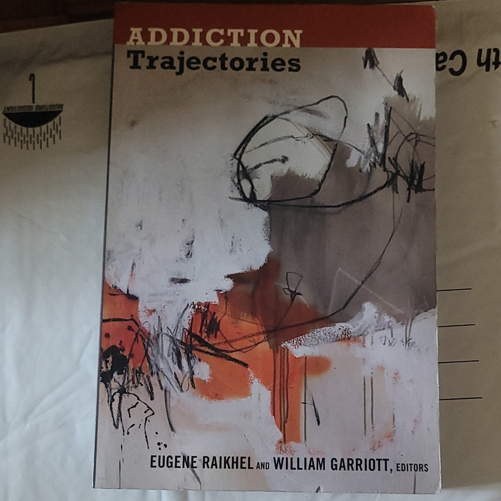 Duke University Press Addiction Trajectories Paperback Textbook Raikhel Garriott