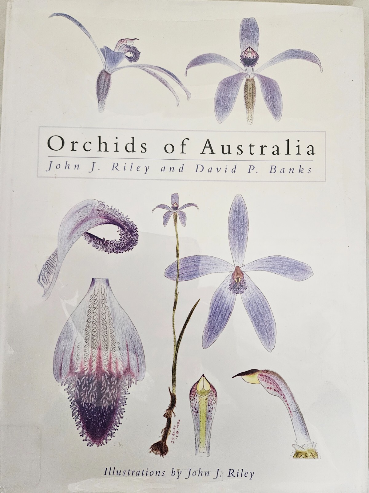 Orchids of Australia by John J. Riley and David P. Banks