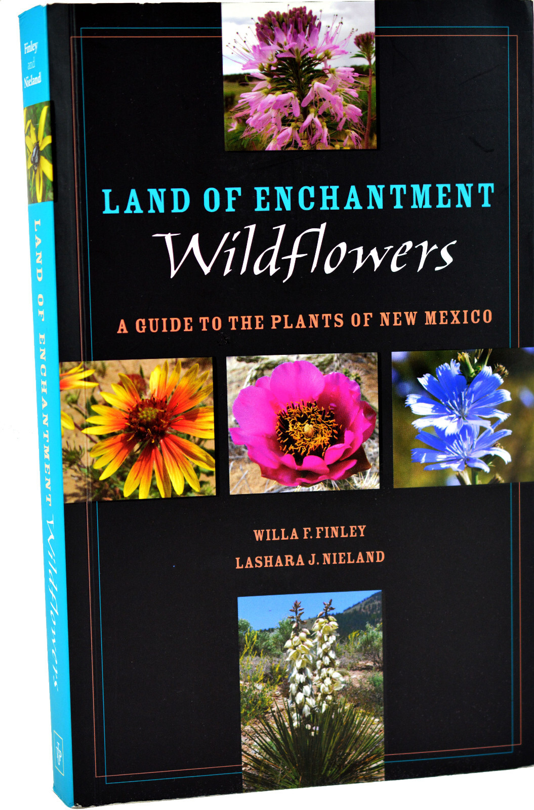 Land of Enchantment Wildflowers