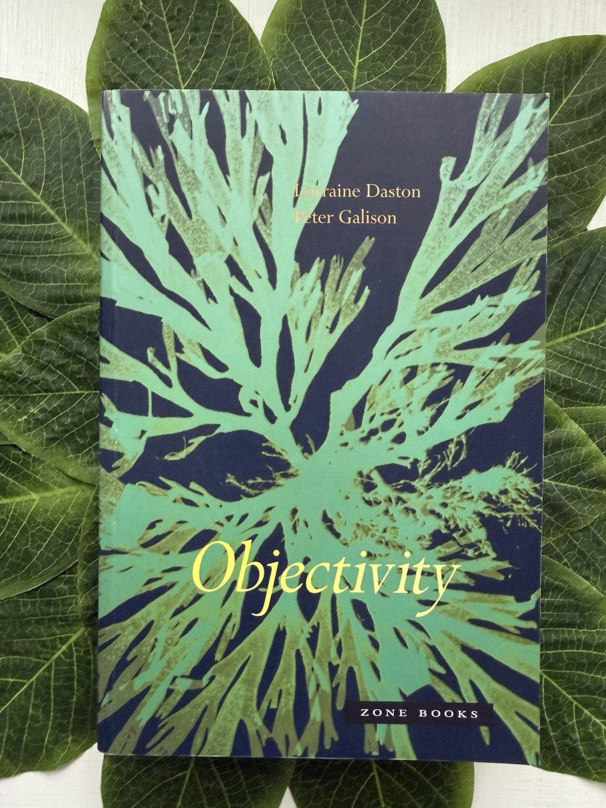Objectivity. MIT Press. Paperback. Used Very Good. Free Shipping.