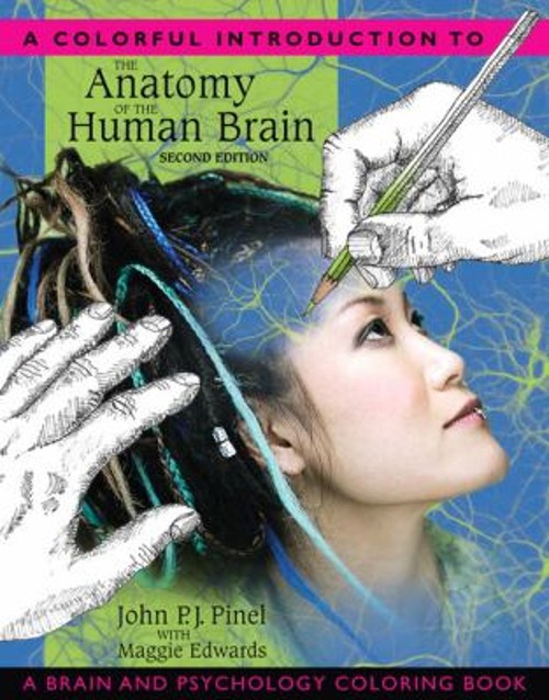 A Colorful Introduction to the Anatomy of the Human Brain : A Bra
