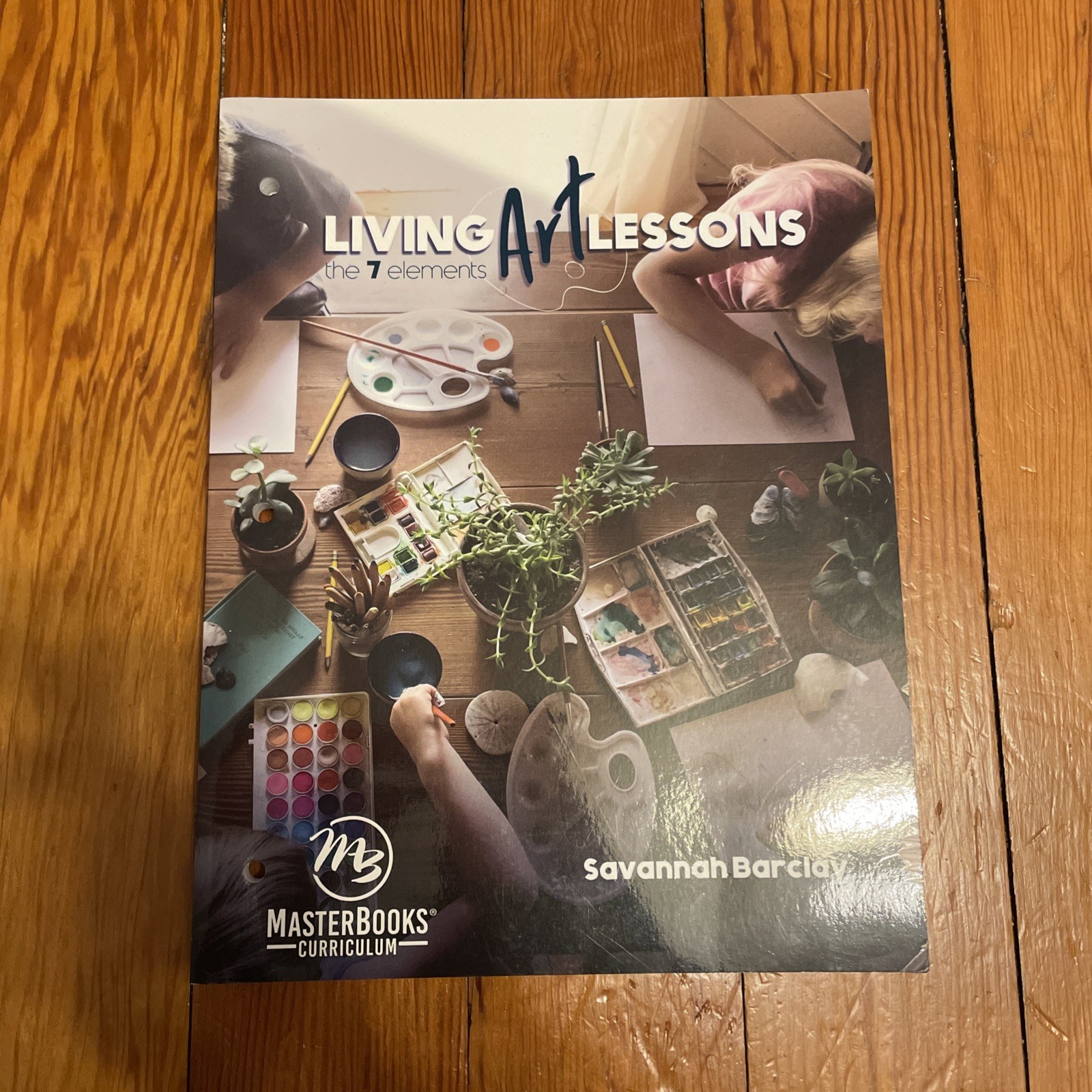 Living Art Lessons : The 7 Elements by Savannah Barclay (2019, Trade Paperback)