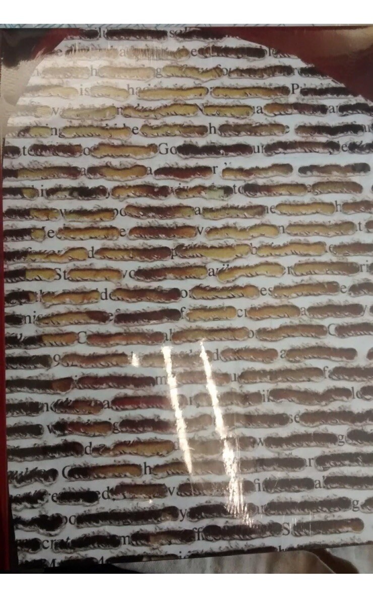 Breaking the Codex Bookwork Collage and Mixed Media by Doug Beube Hardcover NEW