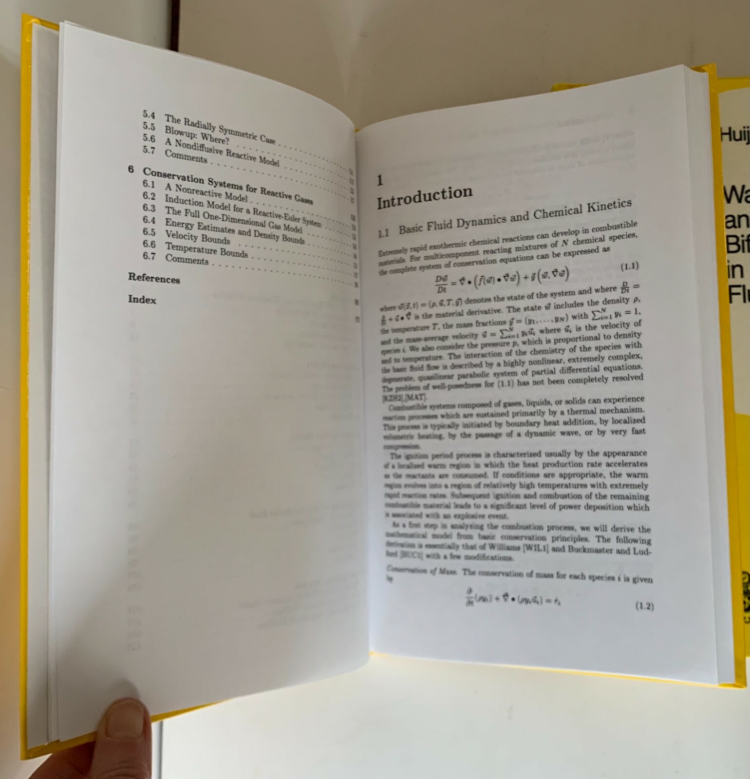 Mathematical Problems from Combustion Theory Applied Mathematical Sciences 83