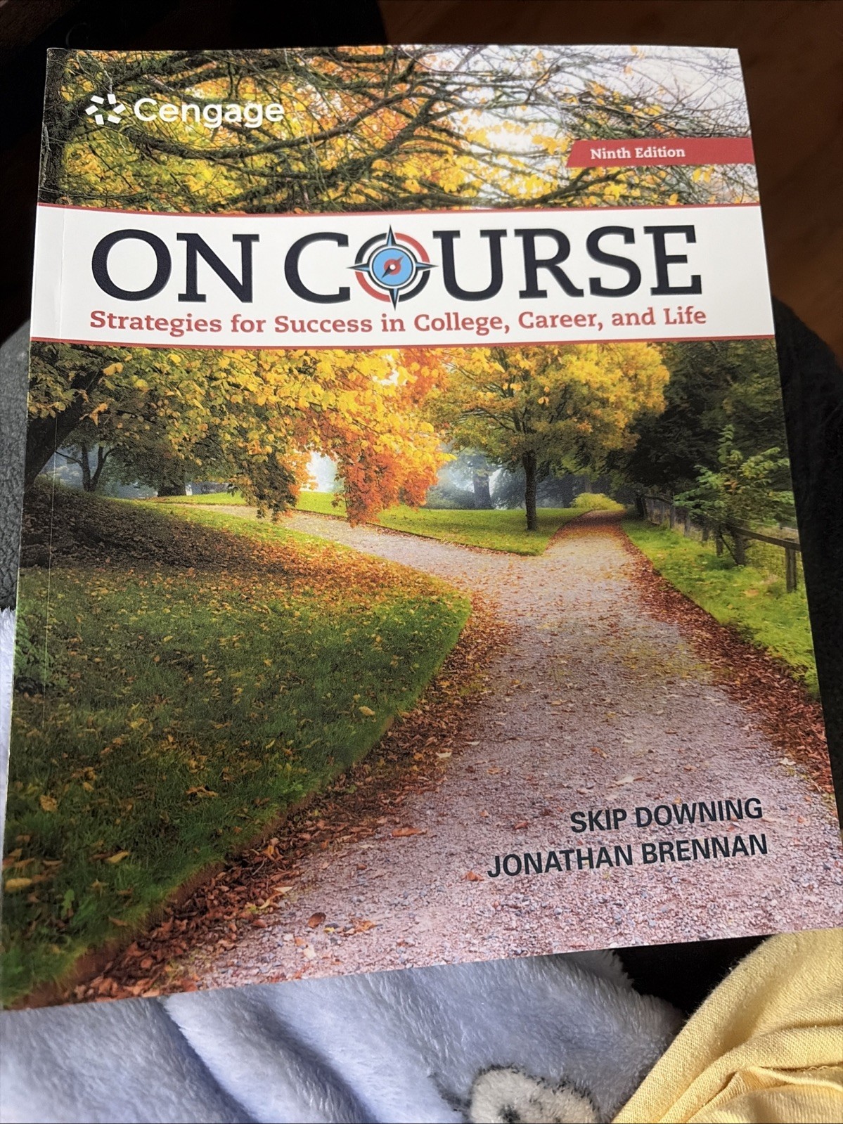 On Course : Strategies for Creating Success 9e