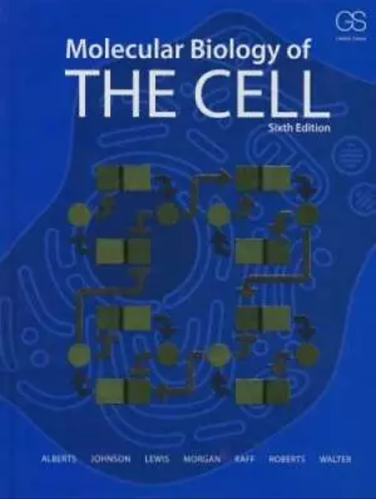 Molecular Biology Of The Cell 6th Edition