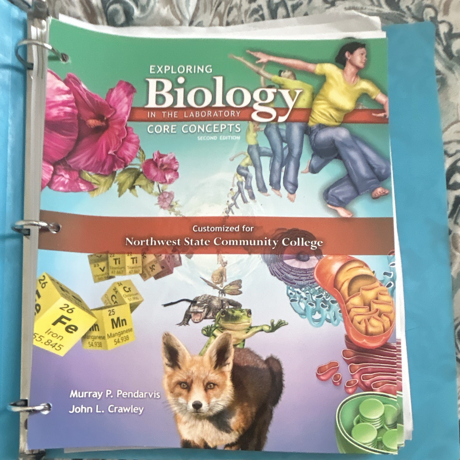 Morton Exploring Biology in the Laboratory: Core Concepts 2nd Ringbound