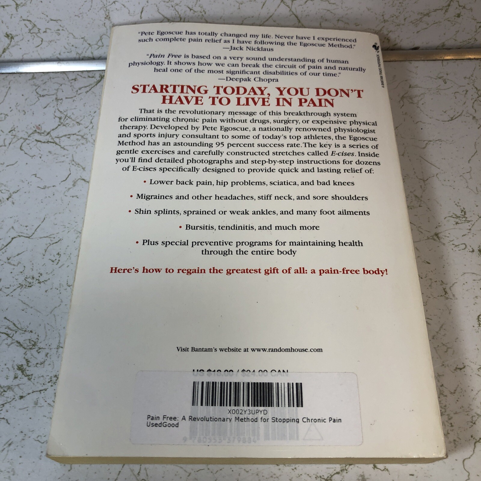 Pain Free: A Revolutionary Method for Stopping Chronic Pain Egoscue, Pete, Gitt