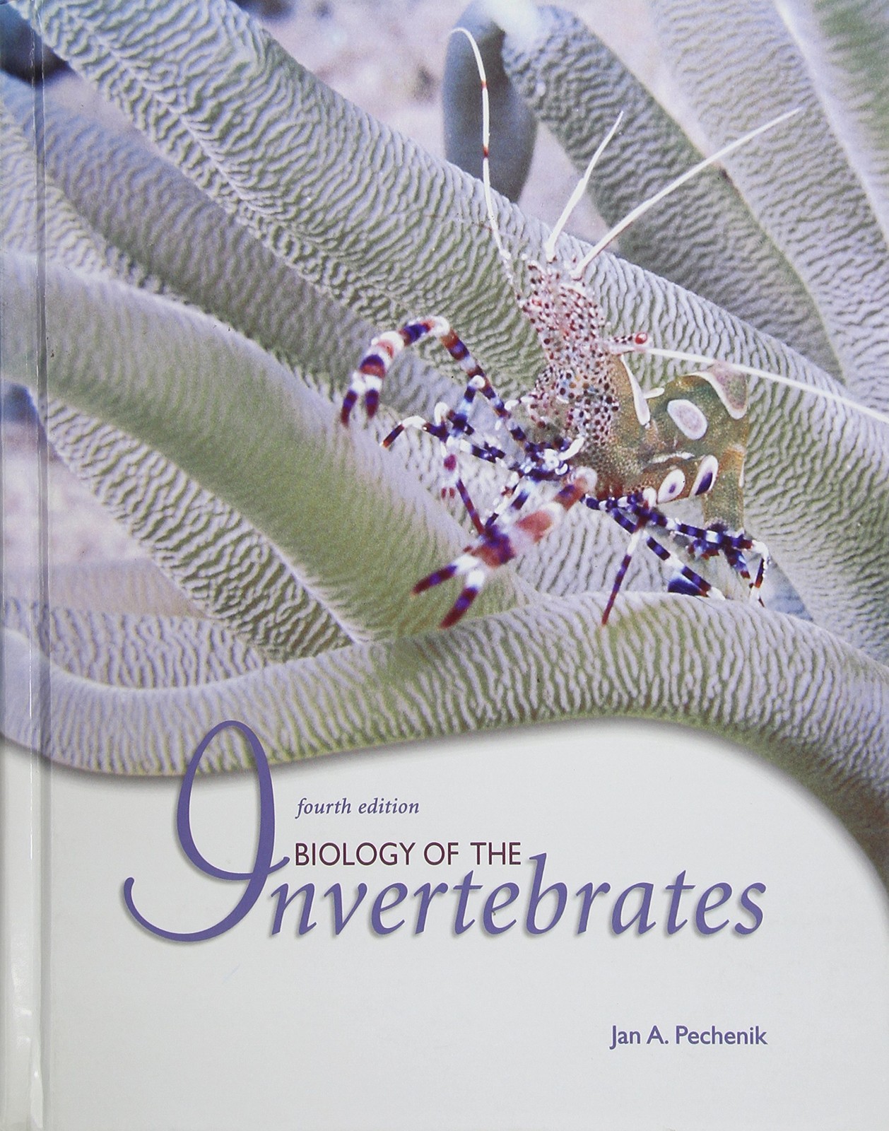 Biology of the Invertebrates, Fourth Edition – hardcover Pechenik, Jan A