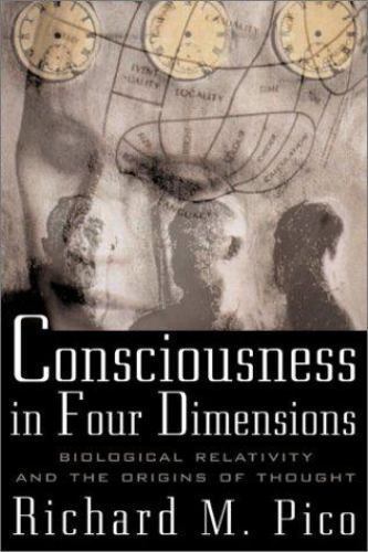 Consciousness in Four Dimensions by Richard M. Pico (2001, Hardcover)