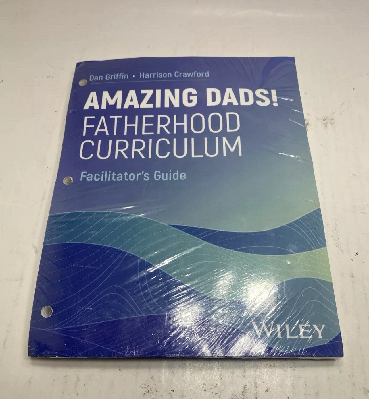 Amazing Dads Fatherhood Curriculum by Dan Griffin (2024, Looseleaf-Sheets only)