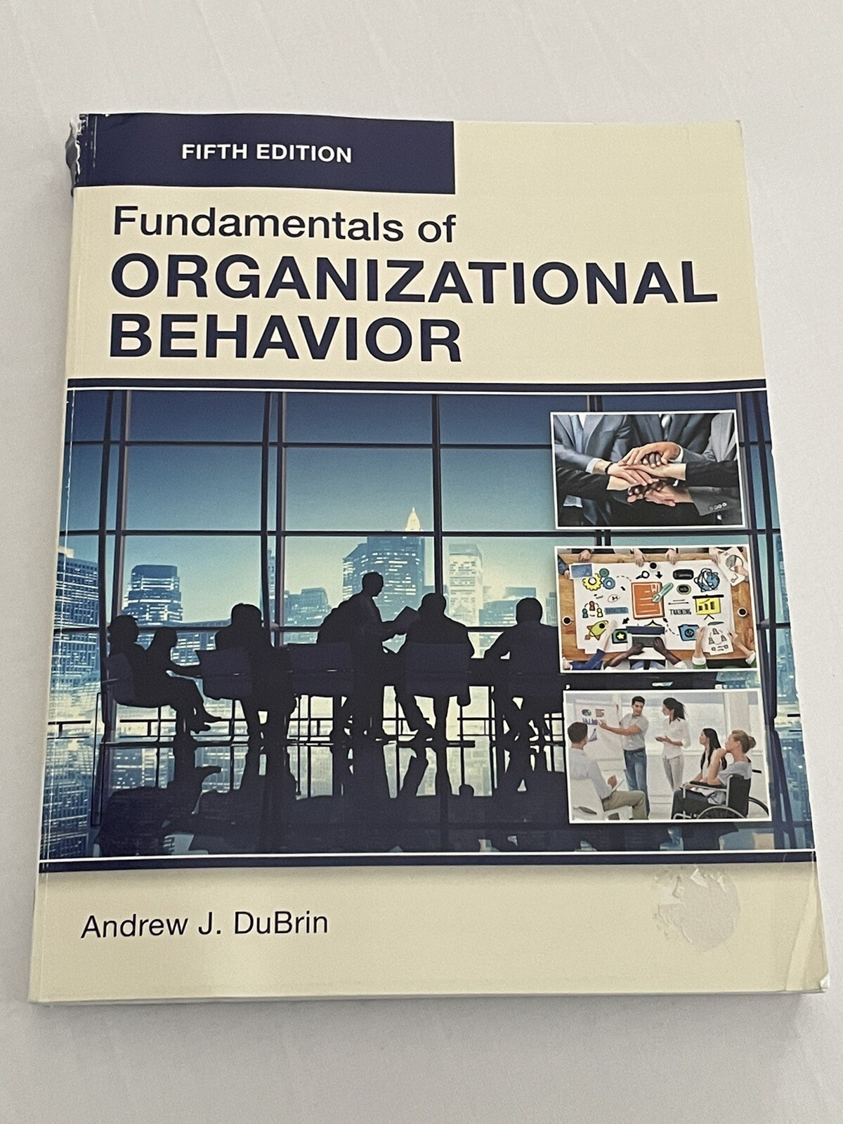 Fundamentals of Organizational Behavior 5th Edition by Andrew J. DuBrin New 1223