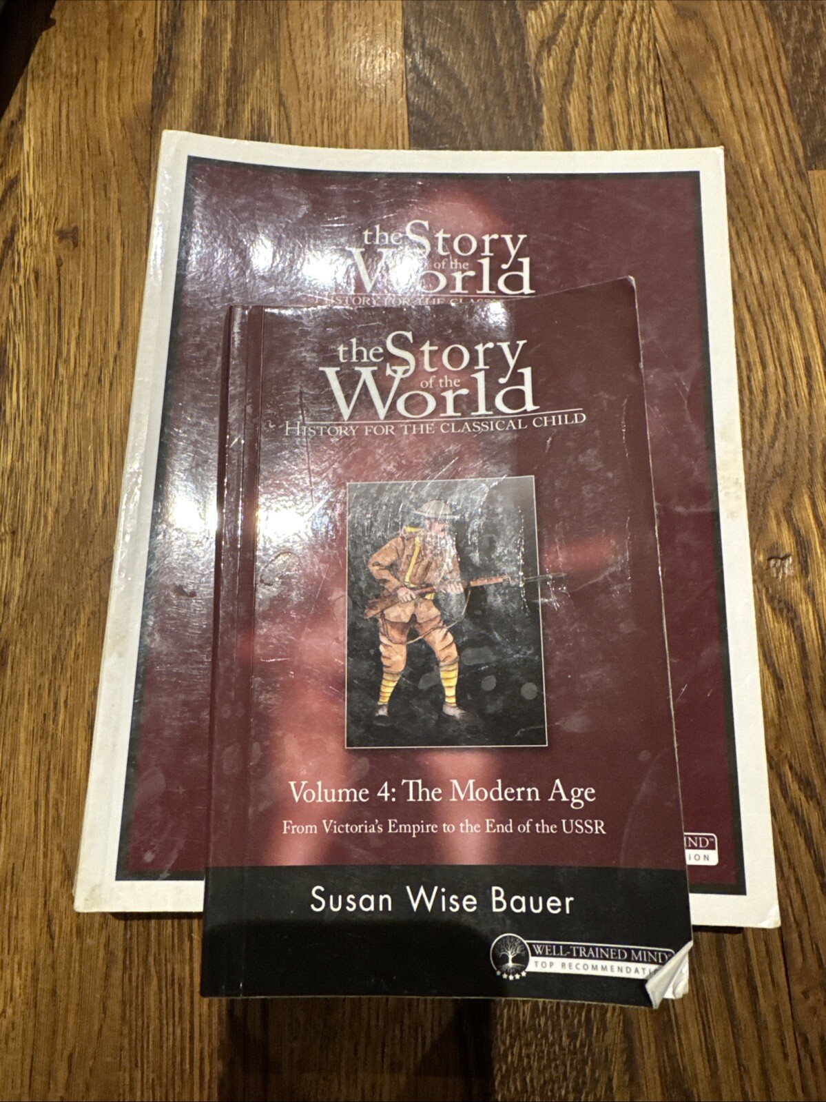 Story of the World Ser.: Story of the World Vol 4, The Modern Age