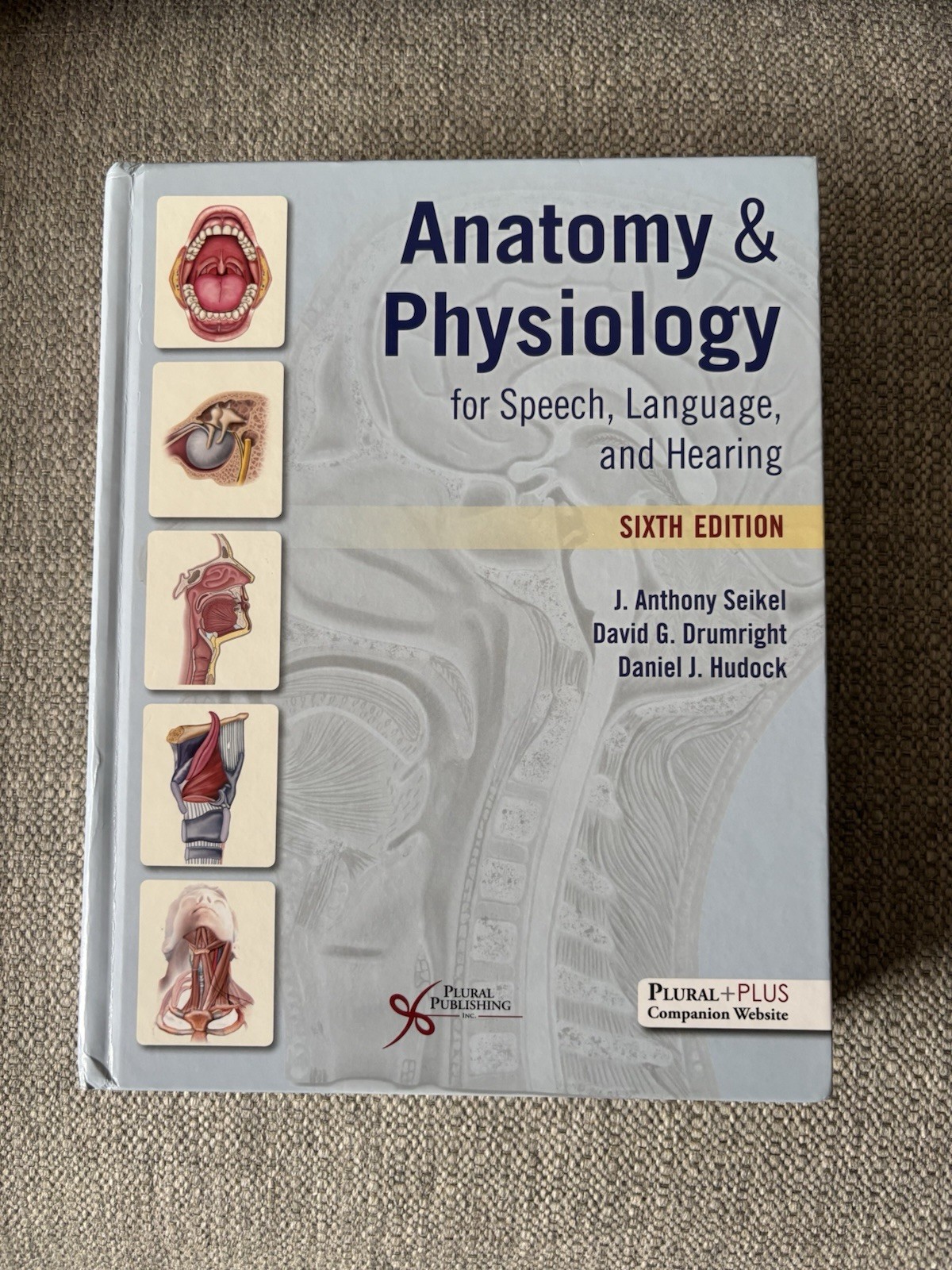 Anatomy & Physiology for Speech, Language, and Hearing 6th Edition Hardcover