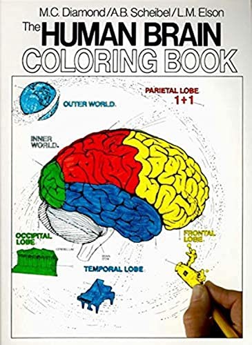 The Human Brain Coloring Book: A Coloring Book – An Interactive Guide to N…