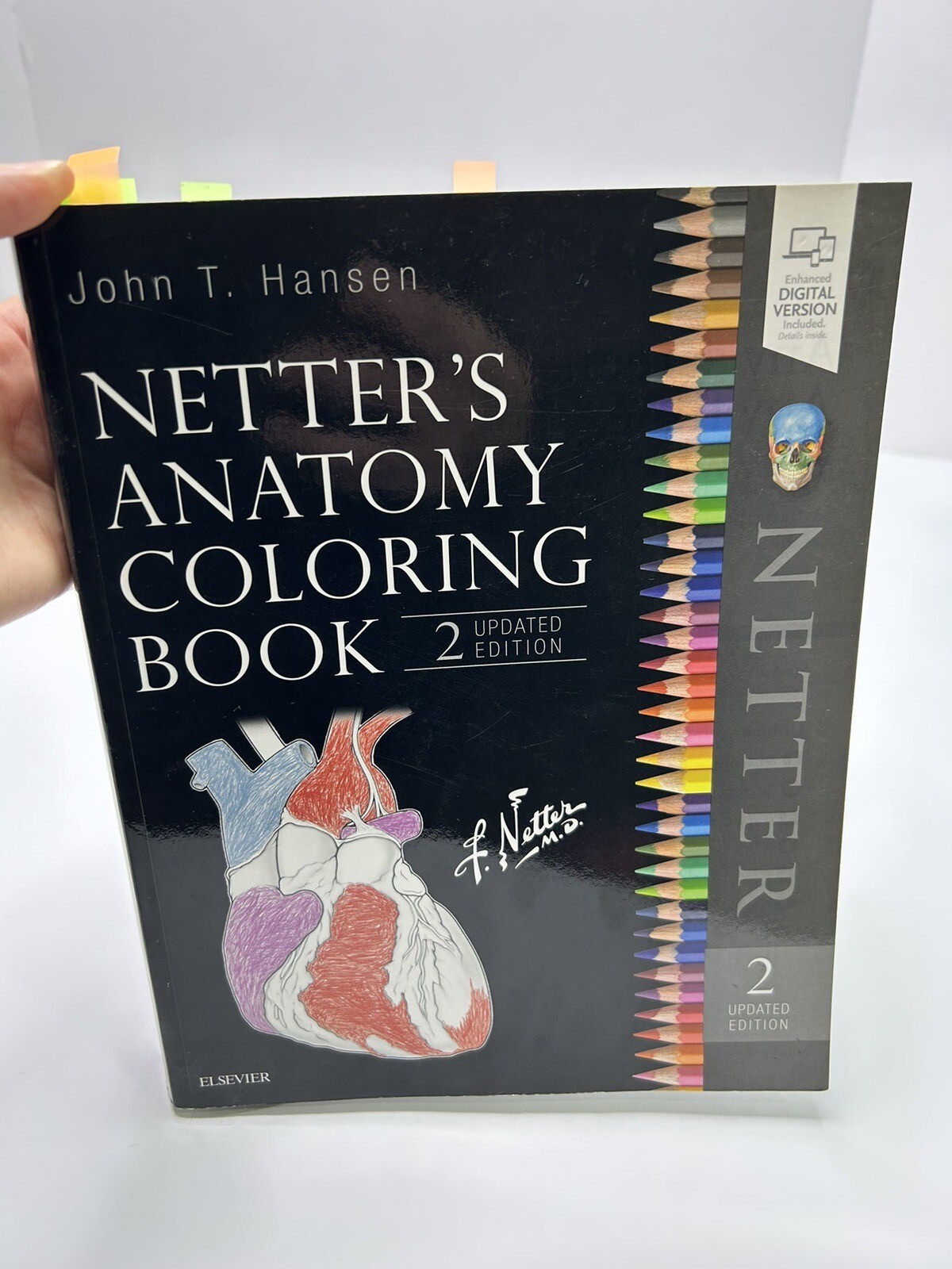 Netter’s Anatomy Coloring Book Updated 2nd Edition by John T. Hansen