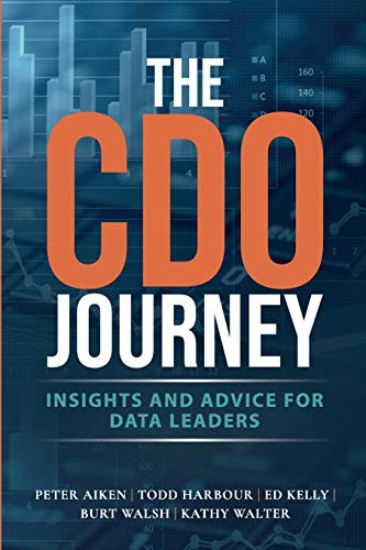 The CDO Journey: Insights and – Paperback – VERY GOOD