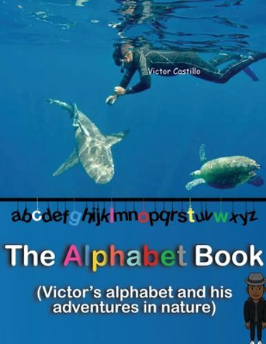 The Alphabet Book Large type / large print ed by Castillo, Victor I, Brand Ne…
