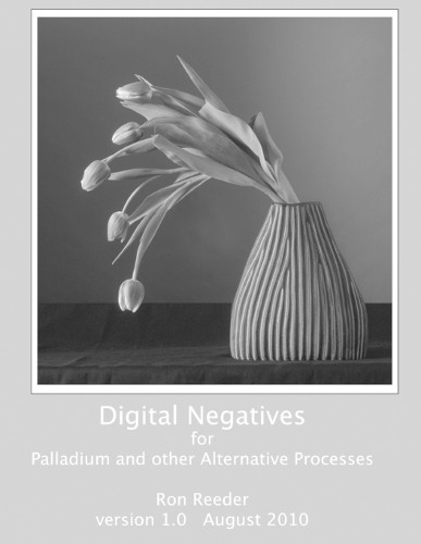 Ron Reeder Digital Negatives for Palladium and Other Alt (Paperback) (UK IMPORT)