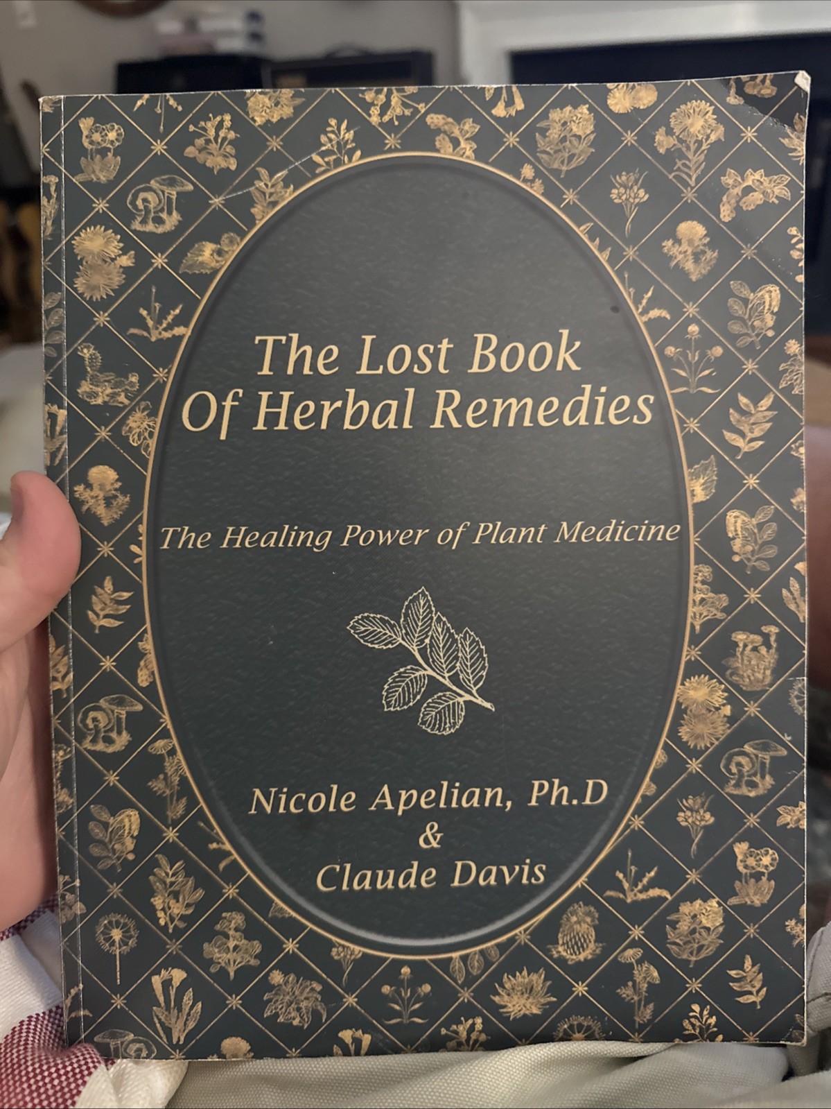 The Lost Book of Herbal Remedies-Nicole Apelian & Claude Davis-Paperback 2019