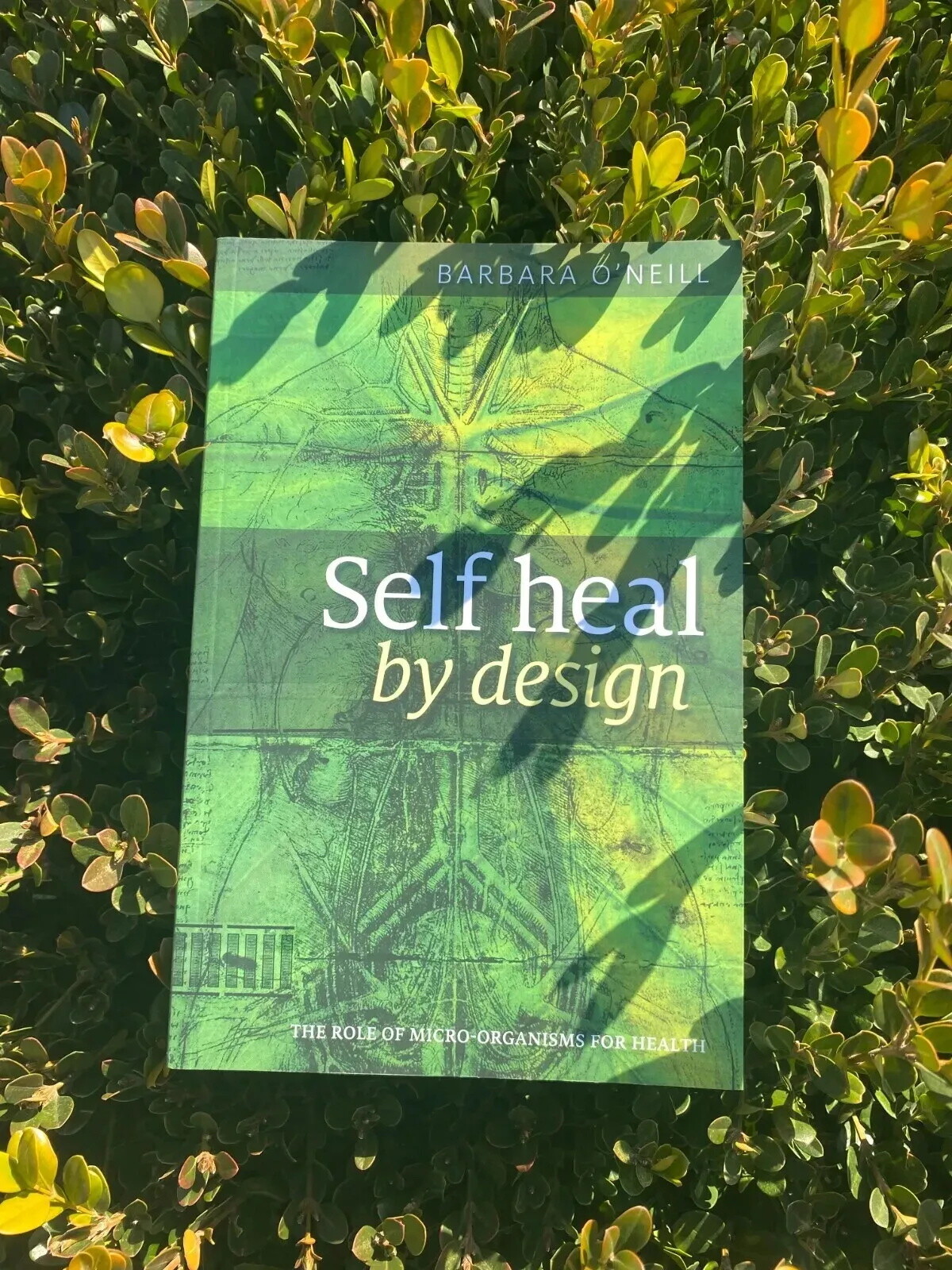 Latest Edition Barbara O’Neill Self Heal By Design Book Worldwide USA STOCK