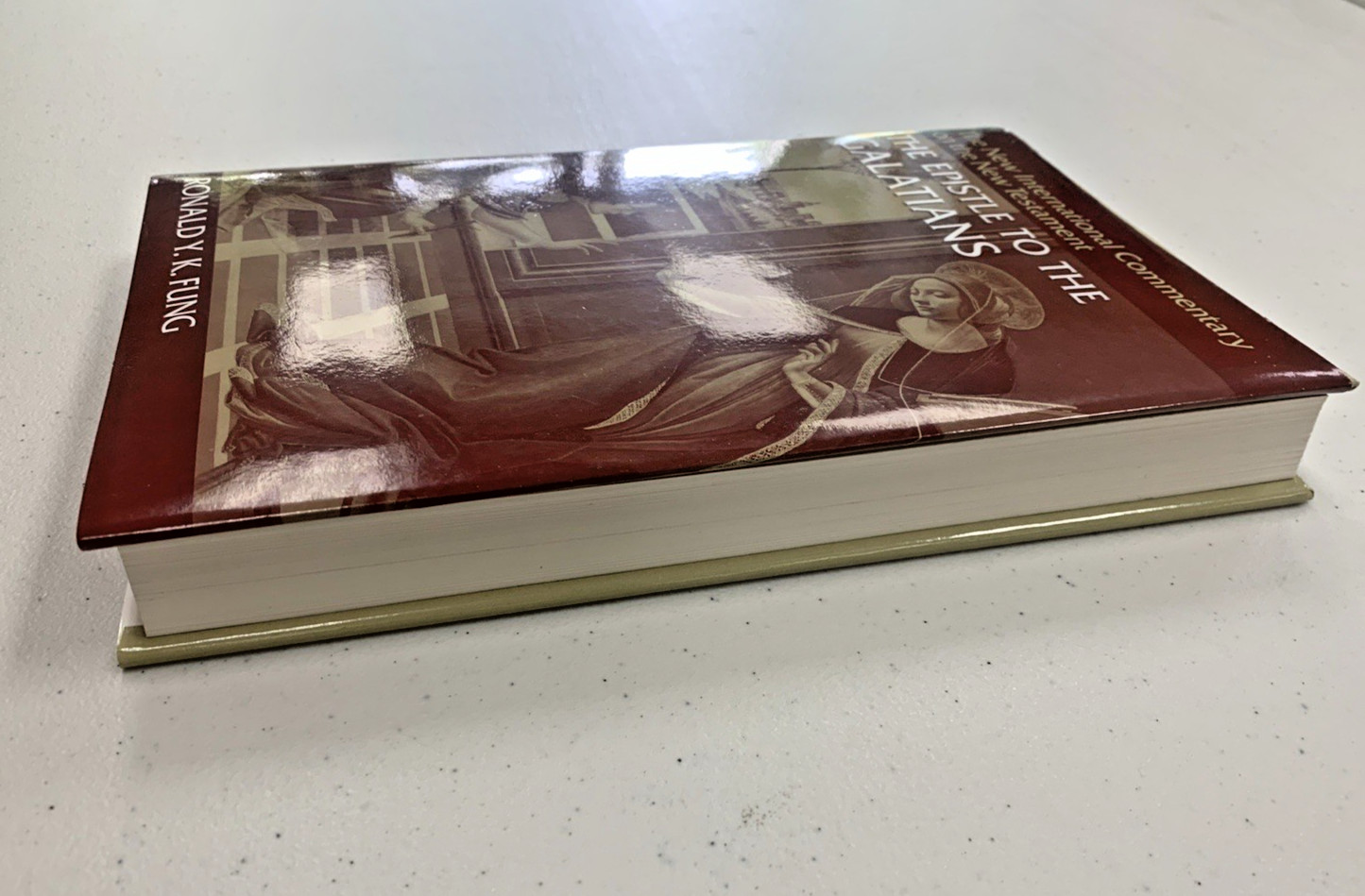 The Epistle to the Galatians by Ronald Y.K. Fung