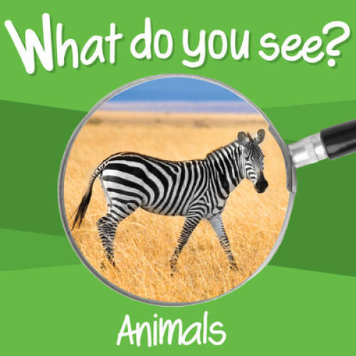 What Do You See: Animals – Board book By Chosen Spot Publishing – GOOD