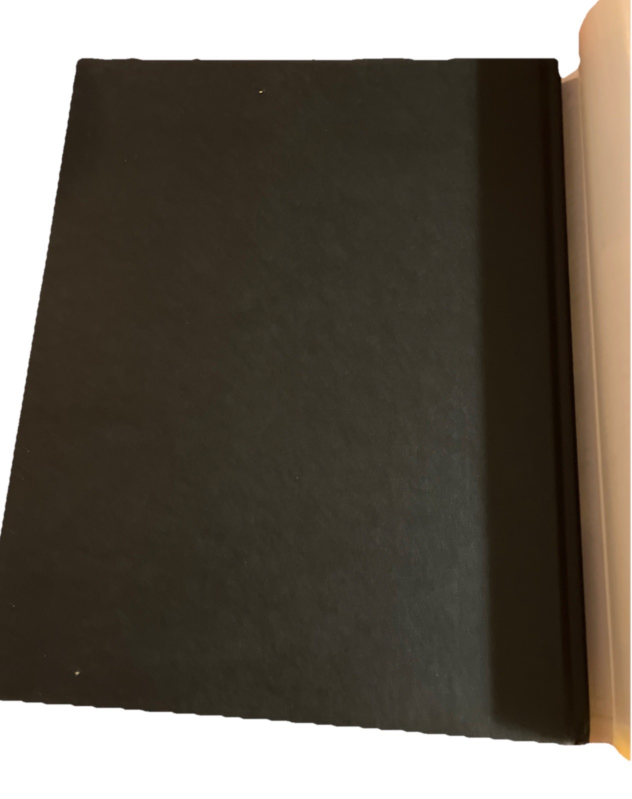 Curtiss Helldiver by Peter C. Smith 1998, Hardcover Dust Jacket