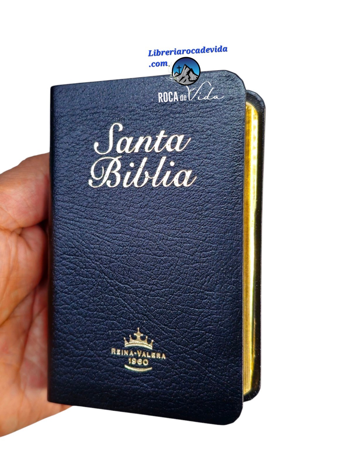 BIBLIA MINI BOLSILLO IMI PIEL NEGRO REINA VALERA 1960 CANTO DORADO