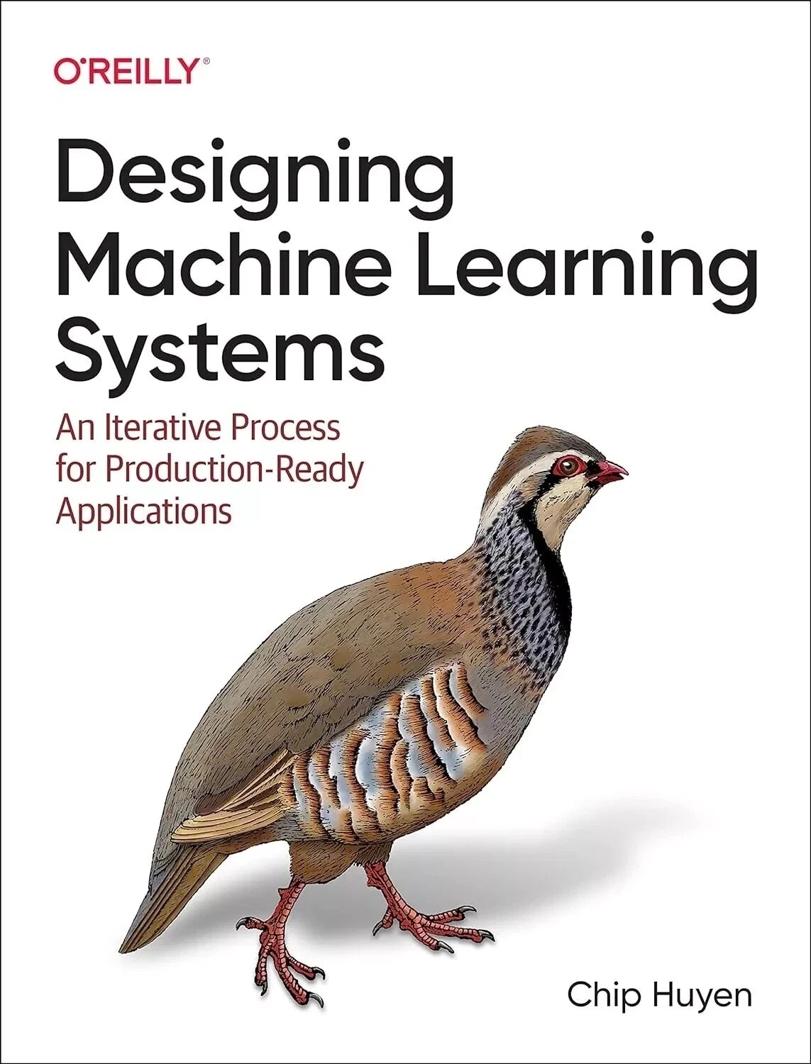 Designing Machine Learning Systems An Iterative Process New Stock FAST Shipping