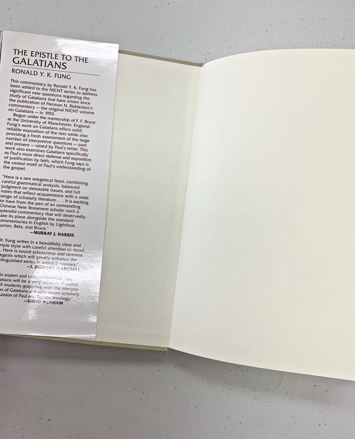 The Epistle to the Galatians by Ronald Y.K. Fung