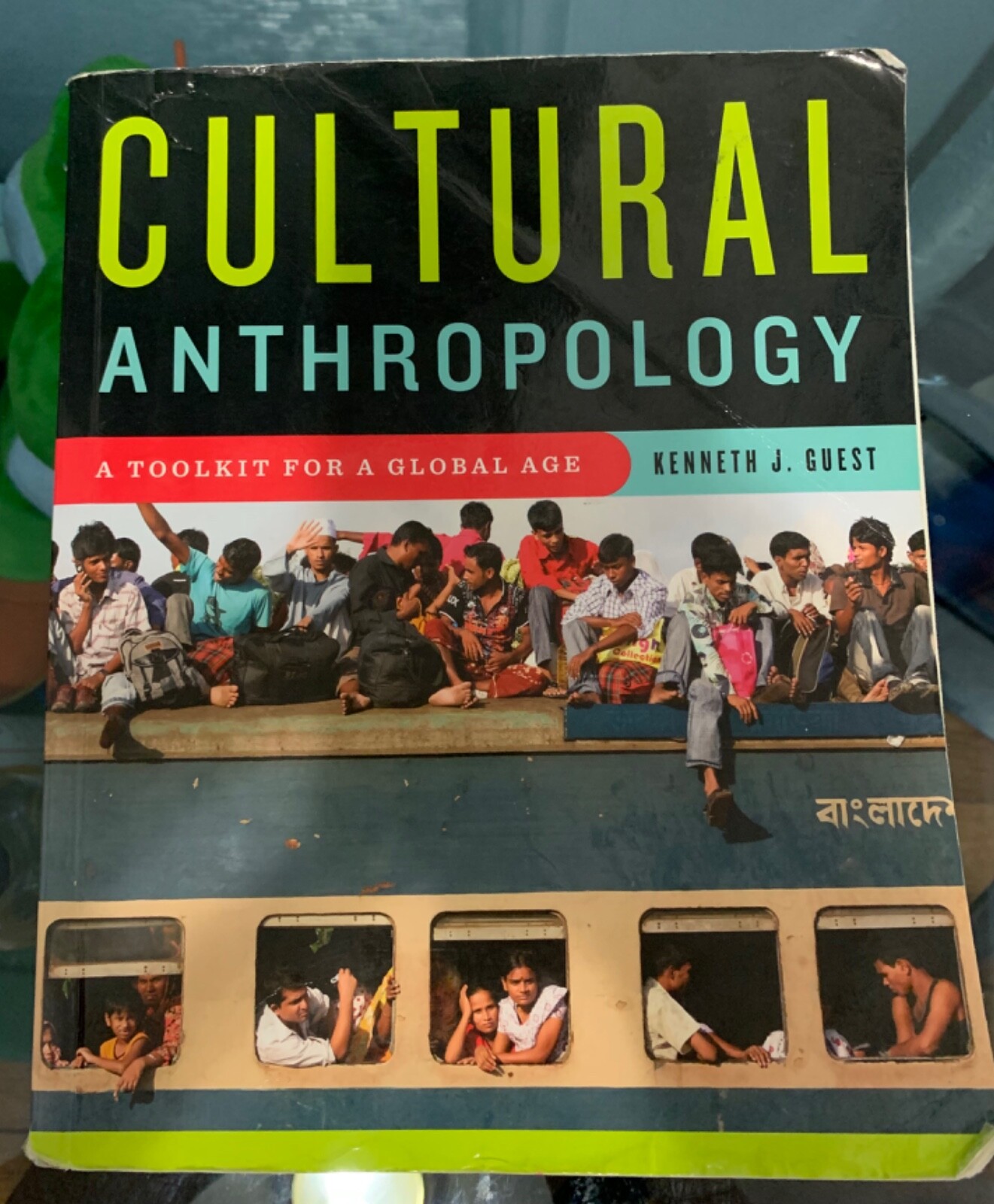 Cultural Anthropology : A Toolkit for a Global Age by Kenneth J. Guest (2013,…